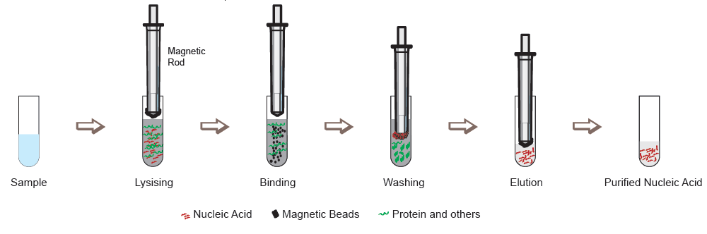 gambar nucleic acid extraction system autopure 32 magnetic bead extraction