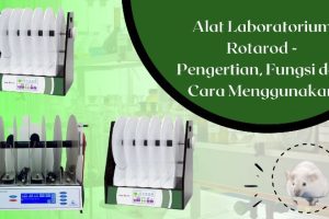 Rotarod – Pengertian dan Fungsi Alat Rotarod di Laboratorium