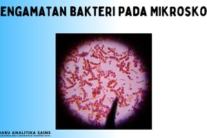 Penggunaan Mikroskop di Laboratorium Histologi