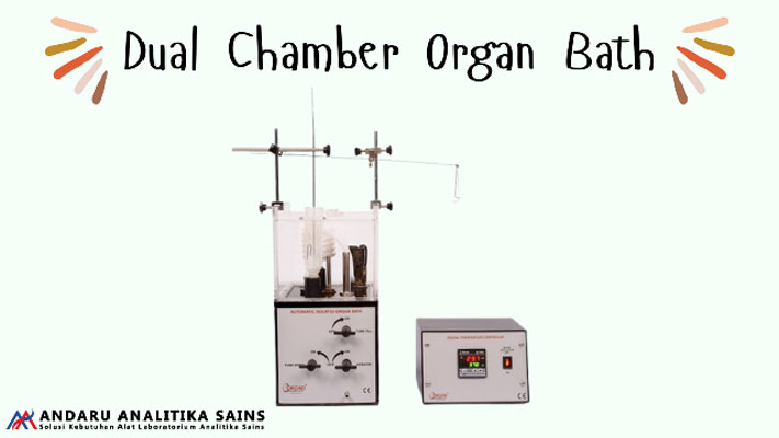 ilustrasi gambar dual chamber organ bath