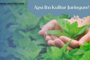 Penggunaan Autoclave Untuk Sterilisasi Media Kultur Jaringan