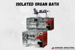 Kelebihan dan Kekurangan Isolated Organ Bath