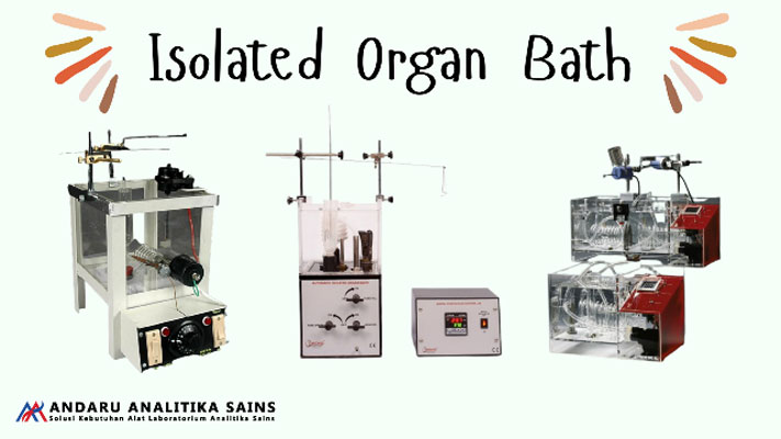 ilustrasi gambar alat isolated organ bath