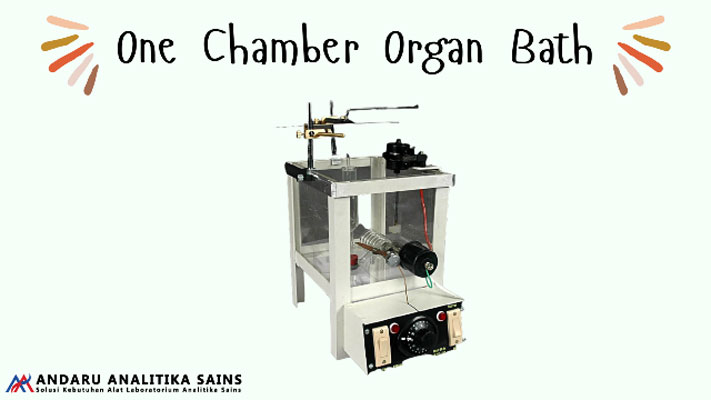 ilustrasi gambar one chamber organ bath