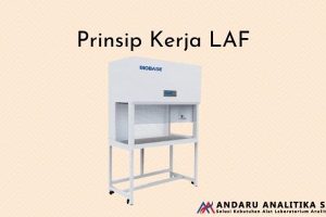 Prinsip Kerja LAF di Laboratorium