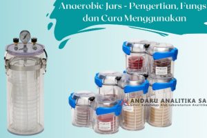 Anaerobic Jars – Pengertian, Fungsi dan Cara Menggunakan