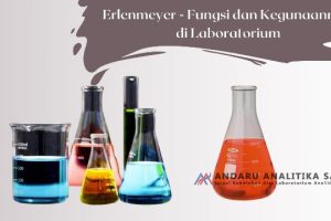 Erlenmeyer – Fungsi dan Kegunaan Erlenmeyer di Laboratorium