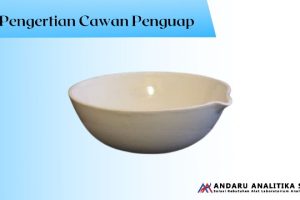 Cawan Penguap – Pengertian, Fungsi dan Cara Menggunakan