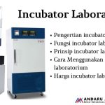 Incubator Laboratorium – Pengertian, Fungsi dan Cara Menggunakan