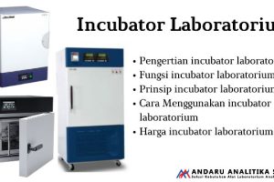 Incubator Laboratorium – Pengertian, Fungsi dan Cara Menggunakan