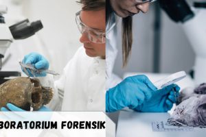 Laboratorium – Pengertian, Fungsi dan Alat Laboratorium