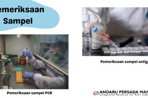 Fungsi Oven Laboratorium Yang Perlu Diketahui