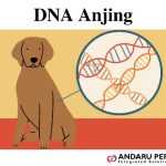 Perbedaan DNA Babi, Anjing dan Monyet Pada Pengujian Halal Produk