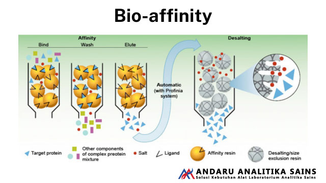 ilustrasi gambar Bio-affinity HPLC